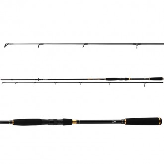 Prut Daiwa Sweepfire Spin 2,10m 5-25g