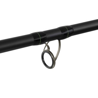 Prut Delphin Dunay Carp 3.00m 200g