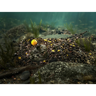 Pellet box Delphin Reaxe Ready&Go Kukuřice - Ananas 400g +120ml Booster + 10mm Wafters