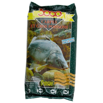 Krmení Sensas 3000 Carpes 1kg